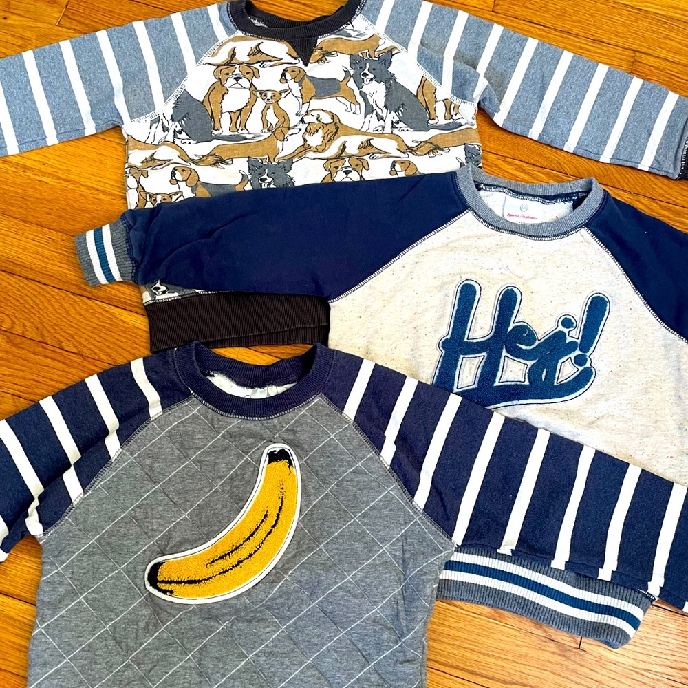 Hanna Andersson Boys Bundle 3 Sweatshirts 5T